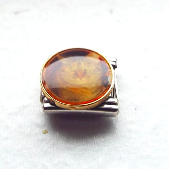 Brown tabby cat round photo 9mm stainless steel Italian charm bracelet link new - Picture 1 of 2